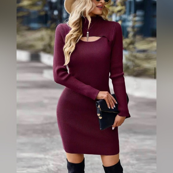 NWT beautiful burgundy Turtleneck Hollow Out LongSleeve knit Dress - Picture 2 of 4